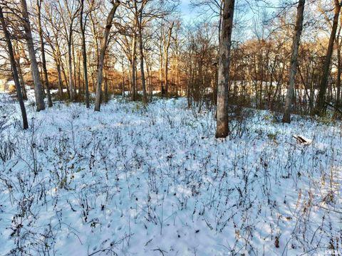 Tiny photo for 3831 E STATE Highway, Shumway, IL 62461 (MLS # EB460672)