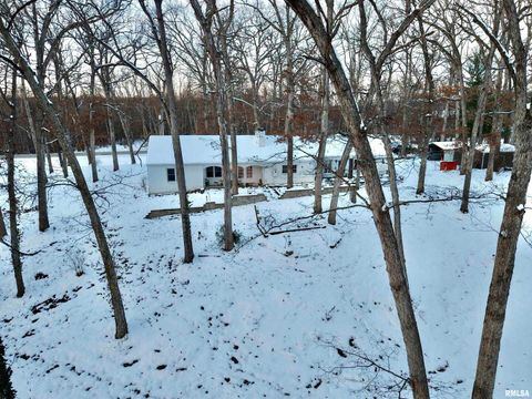 Tiny photo for 3831 E STATE Highway, Shumway, IL 62461 (MLS # EB460672)