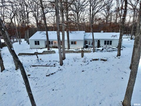 Tiny photo for 3831 E STATE Highway, Shumway, IL 62461 (MLS # EB460672)