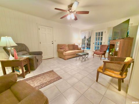 Tiny photo for 3831 E STATE Highway, Shumway, IL 62461 (MLS # EB460672)