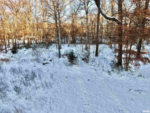 Tiny photo for 3831 E STATE Highway, Shumway, IL 62461 (MLS # EB460672)