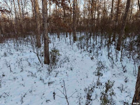 Tiny photo for 3831 E STATE Highway, Shumway, IL 62461 (MLS # EB460672)