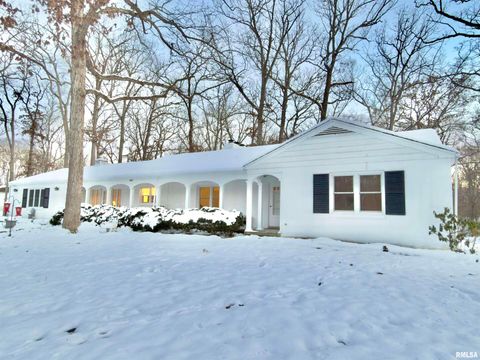 Tiny photo for 3831 E STATE Highway, Shumway, IL 62461 (MLS # EB460672)