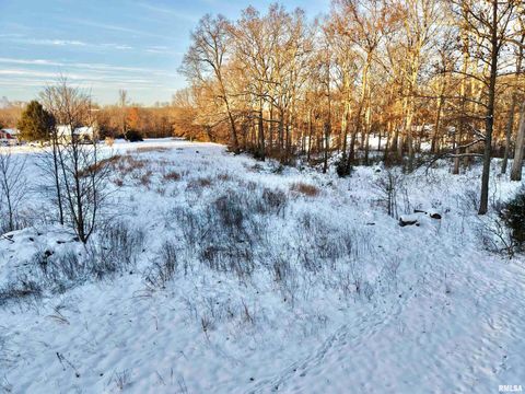 Tiny photo for 3831 E STATE Highway, Shumway, IL 62461 (MLS # EB460672)