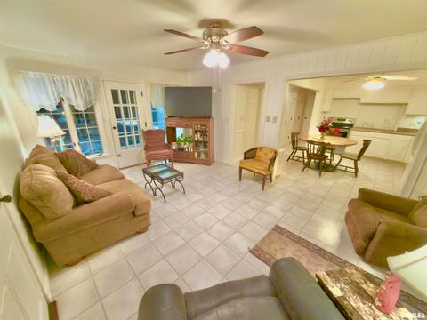 Tiny photo for 3831 E STATE Highway, Shumway, IL 62461 (MLS # EB460672)