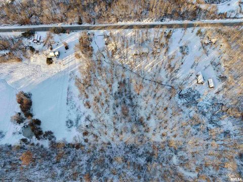 Tiny photo for 3831 E STATE Highway, Shumway, IL 62461 (MLS # EB460672)