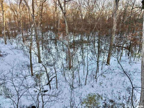 Tiny photo for 3831 E STATE Highway, Shumway, IL 62461 (MLS # EB460672)