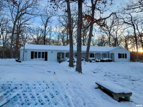 Tiny photo for 3831 E STATE Highway, Shumway, IL 62461 (MLS # EB460672)