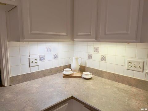 Tiny photo for 3831 E STATE Highway, Shumway, IL 62461 (MLS # EB460672)