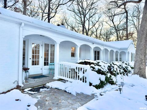 Tiny photo for 3831 E STATE Highway, Shumway, IL 62461 (MLS # EB460672)