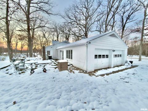 Tiny photo for 3831 E STATE Highway, Shumway, IL 62461 (MLS # EB460672)