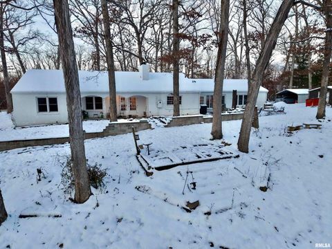 Tiny photo for 3831 E STATE Highway, Shumway, IL 62461 (MLS # EB460672)