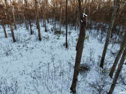 Tiny photo for 3831 E STATE Highway, Shumway, IL 62461 (MLS # EB460672)