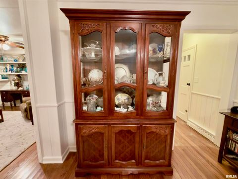 Tiny photo for 3831 E STATE Highway, Shumway, IL 62461 (MLS # EB460672)