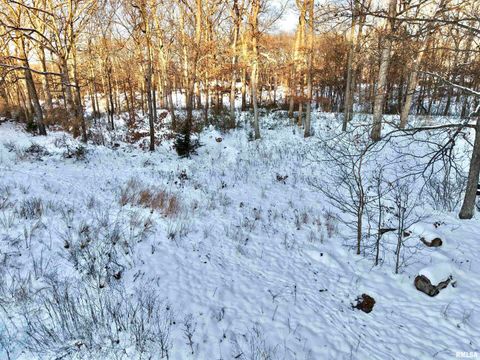 Tiny photo for 3831 E STATE Highway, Shumway, IL 62461 (MLS # EB460672)