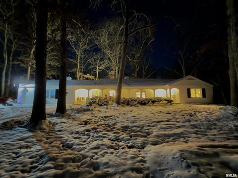 Tiny photo for 3831 E STATE Highway, Shumway, IL 62461 (MLS # EB460672)