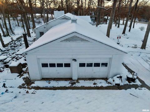 Tiny photo for 3831 E STATE Highway, Shumway, IL 62461 (MLS # EB460672)