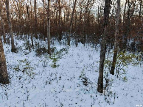 Tiny photo for 3831 E STATE Highway, Shumway, IL 62461 (MLS # EB460672)