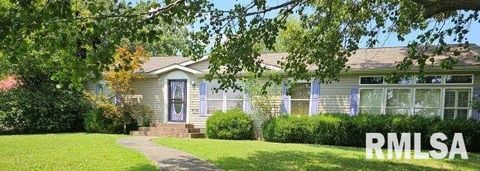 Tiny photo for 614 W COLLEGE Street, Harrisburg, IL 62946 (MLS # EB459082)