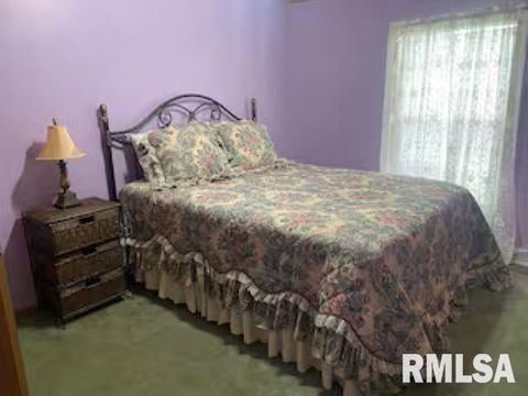 Tiny photo for 614 W COLLEGE Street, Harrisburg, IL 62946 (MLS # EB459082)