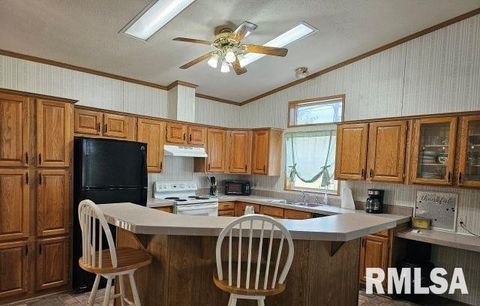 Tiny photo for 614 W COLLEGE Street, Harrisburg, IL 62946 (MLS # EB459082)