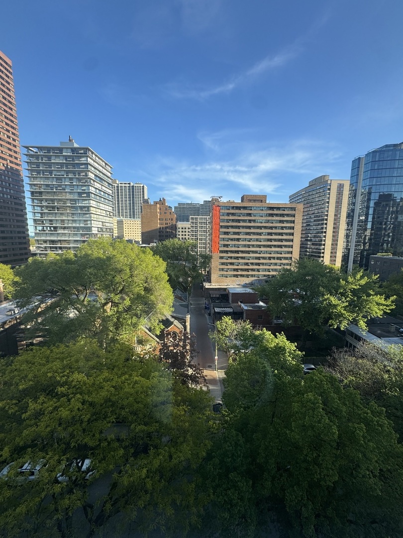 336 W Wellington Avenue 1001