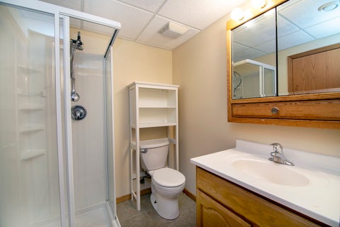 Tiny photo for 1163 Walter Street, Lemont, IL 60439 (MLS # 12784019)