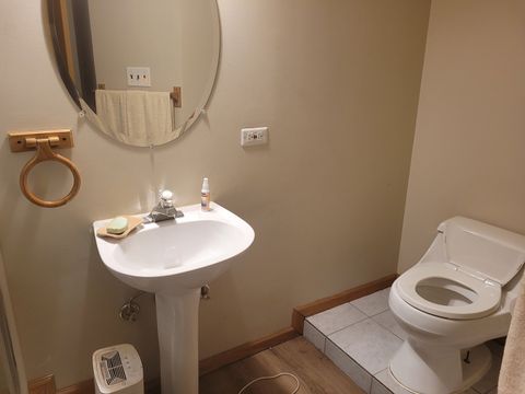 Tiny photo for 18324 Pond View Court, Tinley Park, IL 60477 (MLS # 12390606)