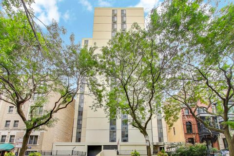 1339 N Dearborn Street 10G Chicago IL 60610