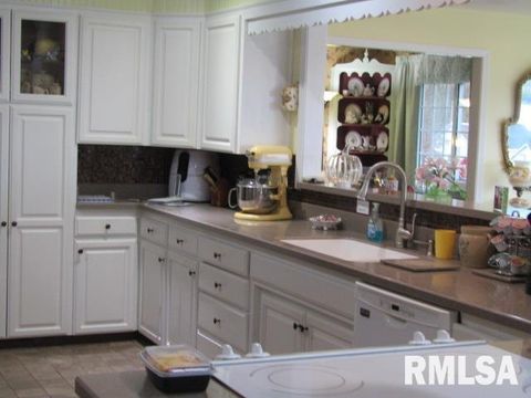 Tiny photo for 195 E MARKET Street, Elizabethtown, IL 62931 (MLS # EB455731)