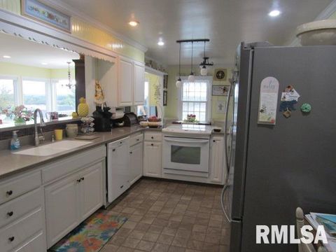 Tiny photo for 195 E MARKET Street, Elizabethtown, IL 62931 (MLS # EB455731)