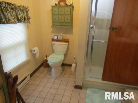 Tiny photo for 195 E MARKET Street, Elizabethtown, IL 62931 (MLS # EB455731)