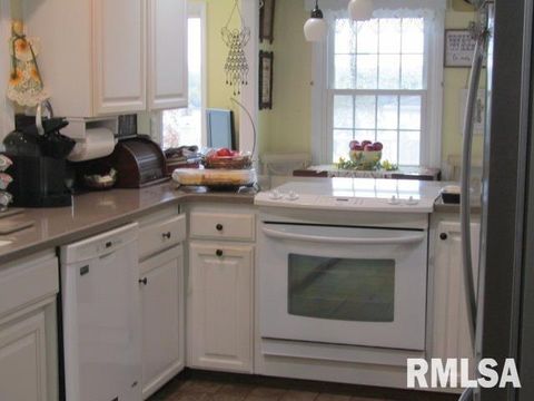 Tiny photo for 195 E MARKET Street, Elizabethtown, IL 62931 (MLS # EB455731)