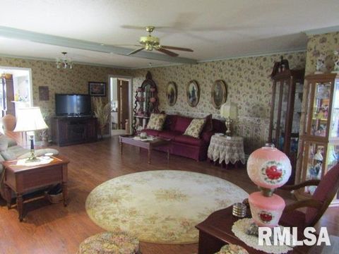 Tiny photo for 195 E MARKET Street, Elizabethtown, IL 62931 (MLS # EB455731)