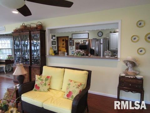 Tiny photo for 195 E MARKET Street, Elizabethtown, IL 62931 (MLS # EB455731)