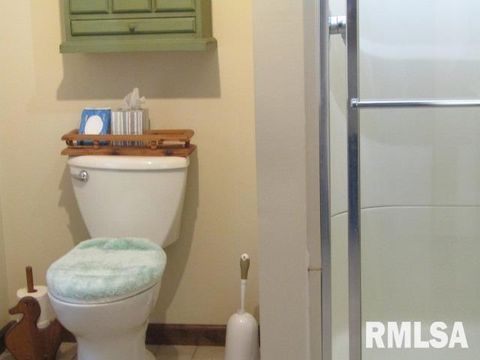 Tiny photo for 195 E MARKET Street, Elizabethtown, IL 62931 (MLS # EB455731)