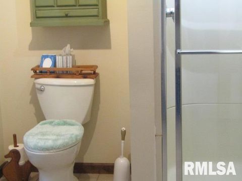 Tiny photo for 195 E MARKET Street, Elizabethtown, IL 62931 (MLS # EB455731)