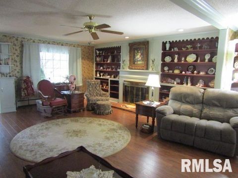 Tiny photo for 195 E MARKET Street, Elizabethtown, IL 62931 (MLS # EB455731)