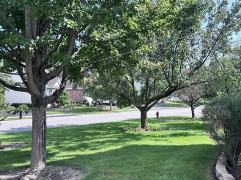 Tiny photo for 20952 W Olive Street, Plainfield, IL 60544 (MLS # 12737215)