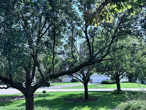 Tiny photo for 20952 W Olive Street, Plainfield, IL 60544 (MLS # 12737215)