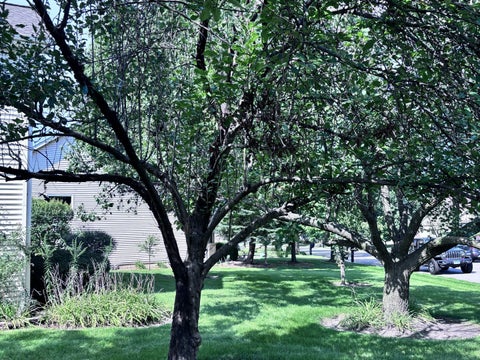 Tiny photo for 20952 W Olive Street, Plainfield, IL 60544 (MLS # 12737215)