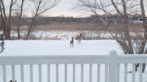 Tiny photo for 12255 Wildflower Lane, Huntley, IL 60142 (MLS # 12508121)