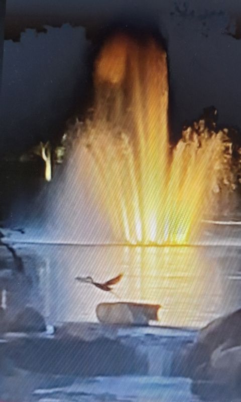 Tiny photo for 12255 Wildflower Lane, Huntley, IL 60142 (MLS # 12508121)