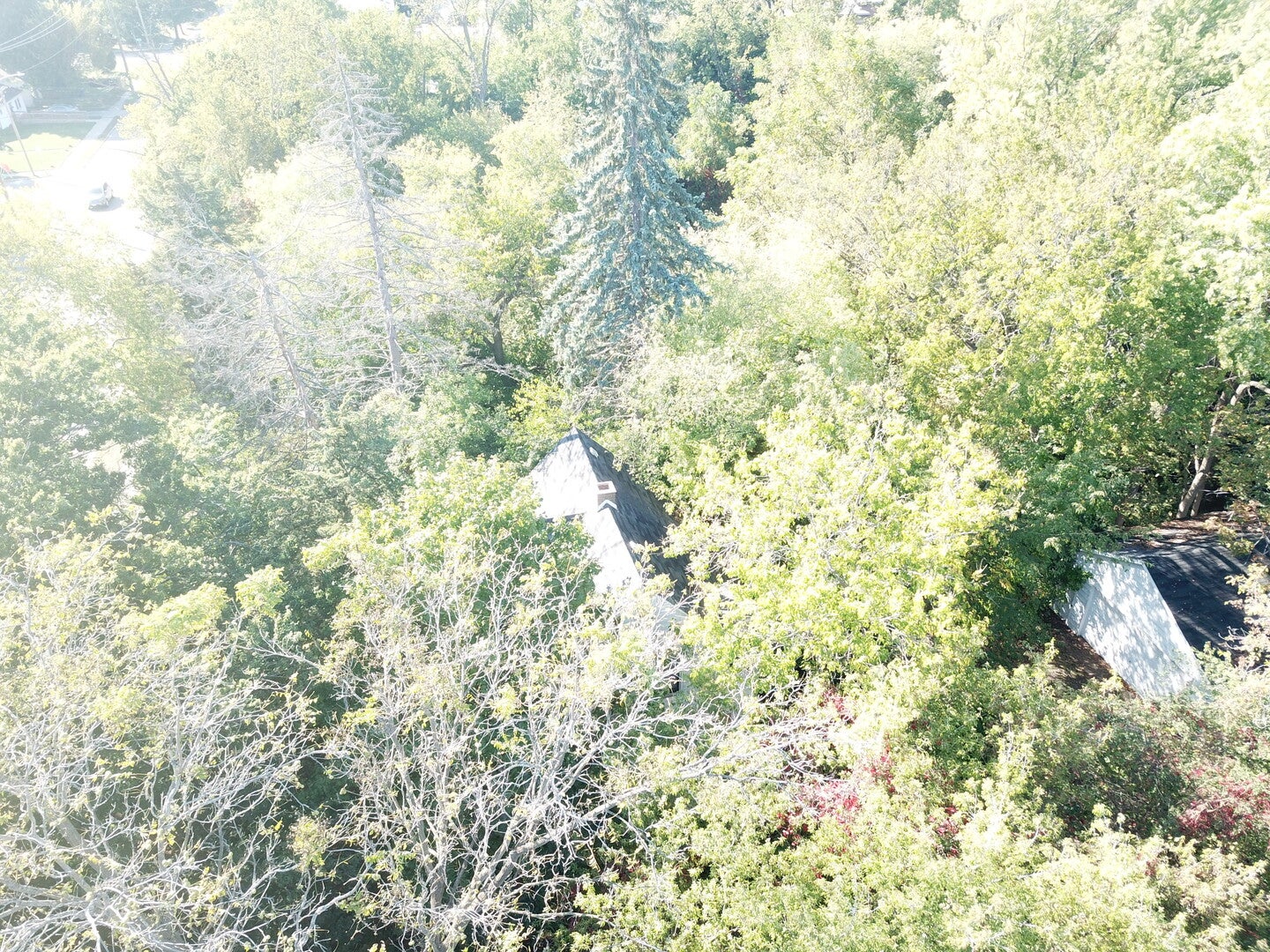 1504 W Glen Flora Avenue