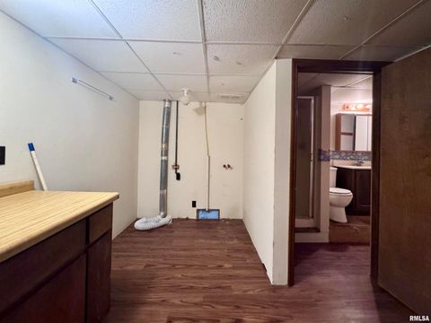 Tiny photo for 916 7TH Street, Fulton, IL 61252 (MLS # QC4268520)