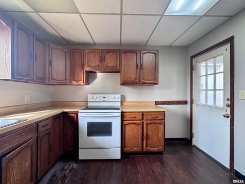 Tiny photo for 916 7TH Street, Fulton, IL 61252 (MLS # QC4268520)