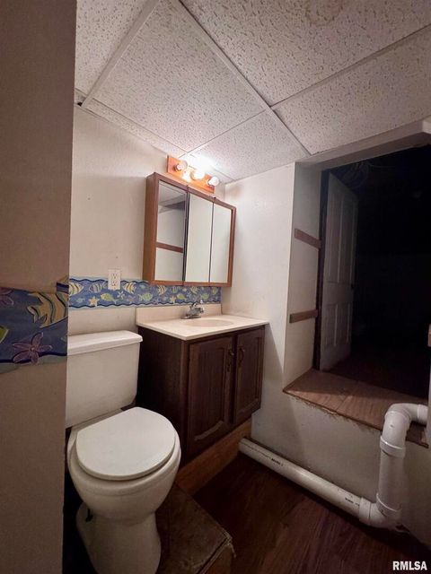 Tiny photo for 916 7TH Street, Fulton, IL 61252 (MLS # QC4268520)