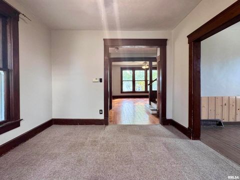 Tiny photo for 916 7TH Street, Fulton, IL 61252 (MLS # QC4268520)