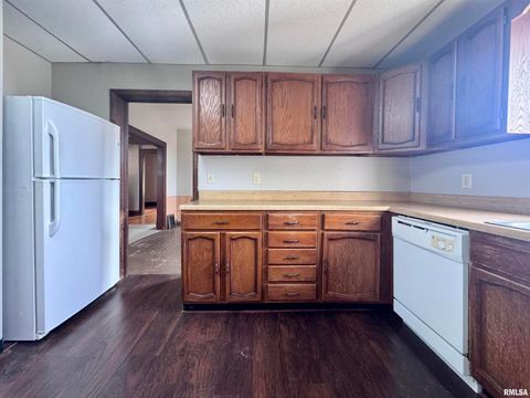 Tiny photo for 916 7TH Street, Fulton, IL 61252 (MLS # QC4268520)