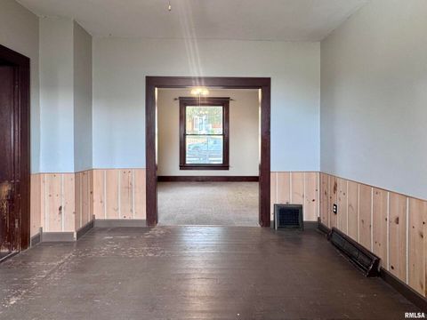 Tiny photo for 916 7TH Street, Fulton, IL 61252 (MLS # QC4268520)